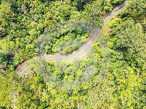 Stunning aerial drone view of a windy road route 12 leading through Waipoua Kauri Forest