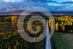 Aerial of lush wild boreal forest and a road during colorful autumn foliage in Estonian nature.