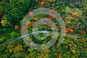 Stunning aerial view of road with cars between colorful autumn forest.