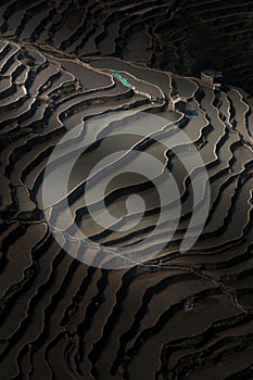 Stunning aerial view of Yuanyang Rice Terraces