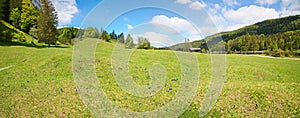 Stunning alpinespring landscape, meadow with lots of blue gentian flowers, Ferchensee Mittenwald