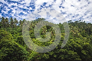 A stunning areal view with palms in tropical Samoa, Upolu, Pacific photo