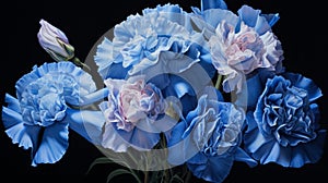 Blue Carnations: A Hyperrealistic Masterpiece By H Iann photo