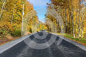 Stunning autumn colours along a deserted road on a sunny day