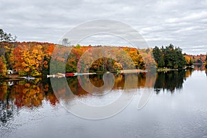 Stunning autumn colours on the shores of a lake on a cloudy day