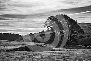 Stunning Autumn Fall black and white landscape image of wide countryside in Lake District in England