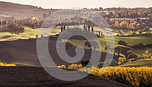 Stunning autumn morning Tuscany hills landscape with plowed and green grass covered beautiful wavy fields. Sunrise light covering