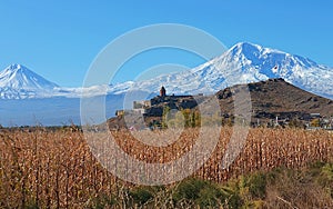 Stunning autumn view of Khor Virap an Armenian monastery and the Ararat peak in Armenia