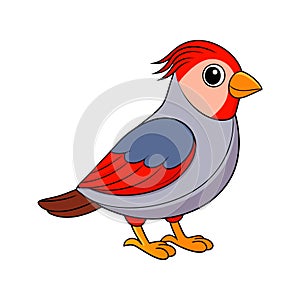 Stunning Beautiful Firetail Bird Colorful Illustration