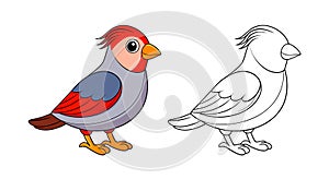 Stunning Beautiful Firetail Bird Colorful Illustration