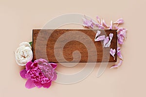 Stunning beautiful pink and white peonies, petals, wooden Board on a light background. the view from the top