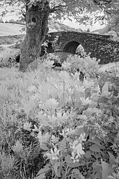 Stunning black and white infrared landscape image of old bridge