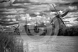 Stunning black and white landscape, windmills