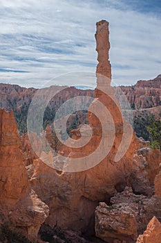 The stunning Bryce Canyon in all its glory at sunrise, a close up of an amazing limetsone hoodoo with various shades of oranges