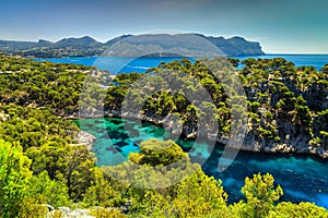 Stunning Calanques de Port Pin in Cassis near Marseille, France