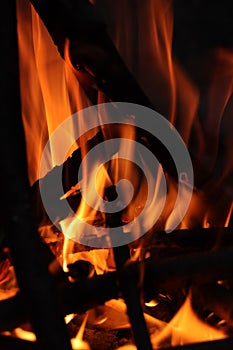 Stunning close-up of vibrant orange flames burning in a campfire