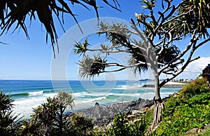 Stunning coastline ocean, waves, surf, palm trees, beach background