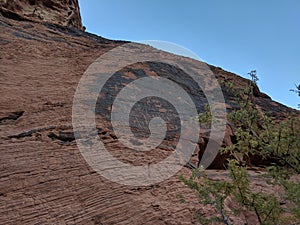 Collection of ancient petroglyphs on mountain in Valley of Fire Nevada