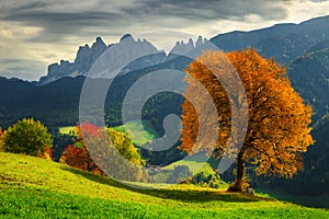 Stunning colorful autumn alpine landscape, Funes valley, Dolomites, Italy