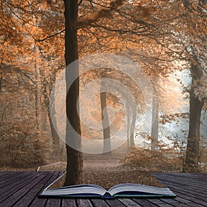 Stunning colorful moody vibrant Autumn Fall foggy forest landscape coming out of pages of book