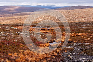 Stunning and colorful tundra landscape during fall foliage