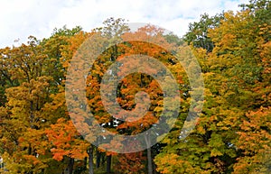 Stunning colors of fall foliage near Wellesley Island State Park, New York, U.S.A