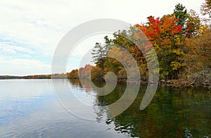 Stunning colors of fall foliage by St Lawrence River near Wellesley Island State Park, New York, U.S.A