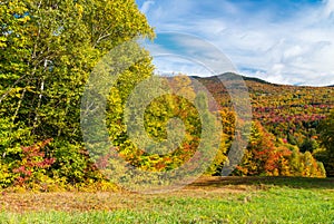 Stunning colors of Vermont foliage, New England