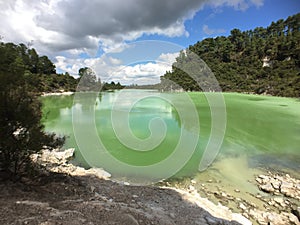 The stunning coloured geo thermal pools with steam at Wai-O-Tapu just outside of Rotorua, New Zealand