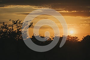 Stunning colourful warm sunrise over tress in silhouette in Etosha national park, Namibia