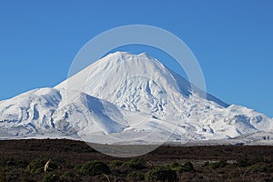 Stunning cone of Ngauruhoe volcano in winter