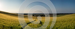 Stunning countryside panorama landscape wheat field in Summer sunset