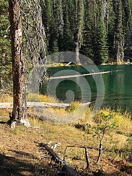 Stunning Deschutes River waters