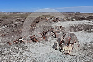 Stunning Desert Landscape with Petrified Logs in Arizona