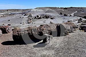 Stunning Desert Landscape with Scattered Petrified Logs