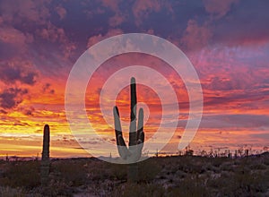 Stunning Desert Sunset With Colorful Clouds