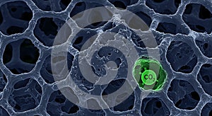 Nanoporous lattice capturing a CO2 molecule