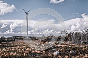 Stunning field view with wind generator and flowers