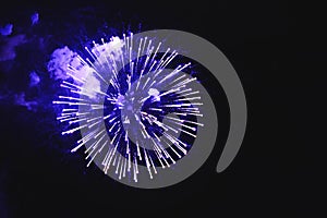 Stunning fireworks blue flowers on the night sky. Brightly fireworks on dark black color background. Holiday relax time with