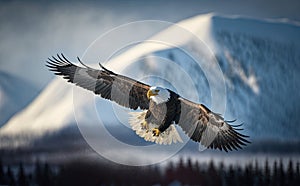 American bald eagle in flight over snow-covered mountain in Alaska's Kenai snow mountains generative AI