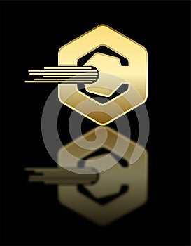 stunning golden hexagonal elegant icon