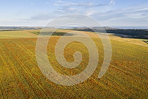 Stunning high flying drone landscape image of poppy field in English countryside during Summer evening sunset photo