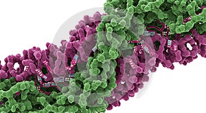 Molecular interaction visualized in 3D