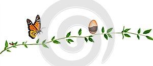 Nature's Evolution: Symbolic Growth and Transformation in a Lush Setting