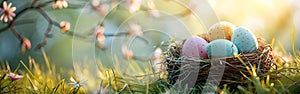 Easter Egg Nest on Green Meadow: Festive Greeting Banner