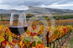 Exquisite Glass of Rioja Red Wine Overlooking the Vibrant Vineyards of La Rioja - Essence of Spanish Elegance photo