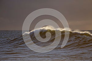 Stunning image of a sun-drenched beach with an imposing wave