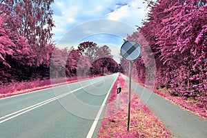 Stunning infrared view on purple fantasy landscapes with some ashpalt roads