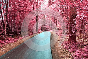 Stunning infrared view on purple fantasy landscapes with some ashpalt roads