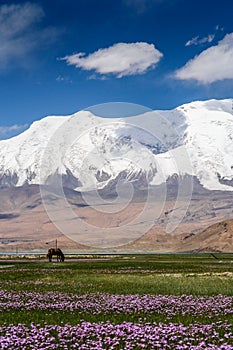 Stunning Karakorum landscape